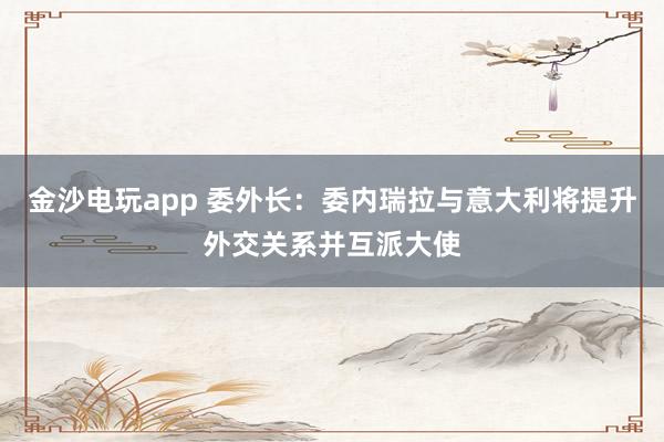 金沙電玩app 委外長:委內瑞拉與意大利將提升外交關系并互派大使