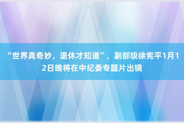 “世界真奇妙,退休才知道”,副部級徐憲平1月12日晚將在中紀委專題片出鏡