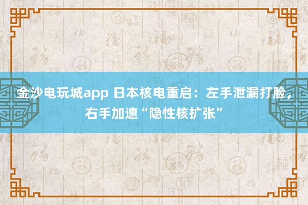 金沙電玩城app 日本核電重啟：左手泄漏打臉，右手加速“隱性核擴(kuò)張”