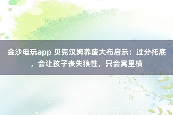 金沙電玩app 貝克漢姆養(yǎng)廢大布啟示:過分托底,會(huì)讓孩子喪失狼性,只會(huì)窩里橫