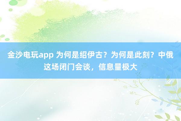 金沙電玩app 為何是紹伊古?為何是此刻?中俄這場(chǎng)閉門會(huì)談,信息量極大