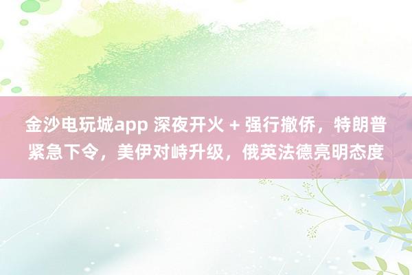 金沙電玩城app 深夜開火 + 強行撤僑,特朗普緊急下令,美伊對峙升級,俄英法德亮明態(tài)度