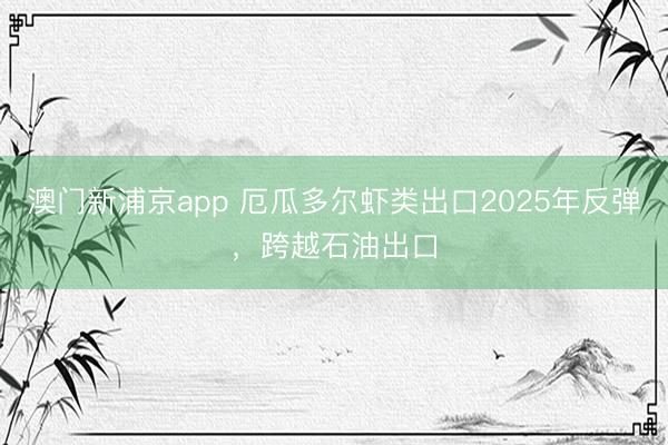 澳門新浦京app 厄瓜多爾蝦類出口2025年反彈，跨越石油出口