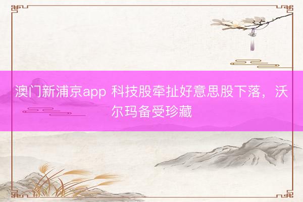 澳門新浦京app 科技股牽扯好意思股下落，沃爾瑪備受珍藏