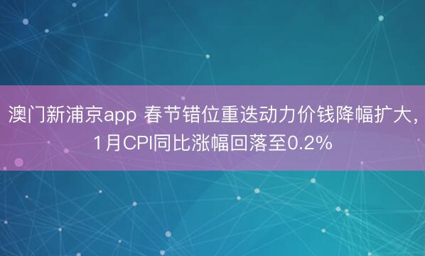 澳門新浦京app 春節(jié)錯位重迭動力價錢降幅擴大，1月CPI同比漲幅回落至0.2%