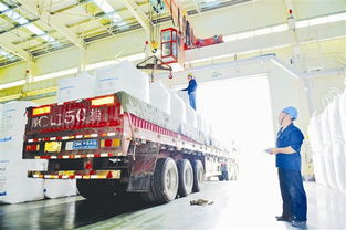 義馬市 聚焦產(chǎn)業(yè)升級 加快轉(zhuǎn)型發(fā)展