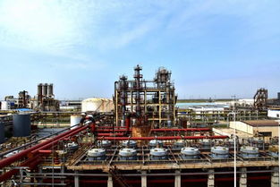 國內(nèi)單套生產(chǎn)能力最大電解槽在聚隆化工試車成功