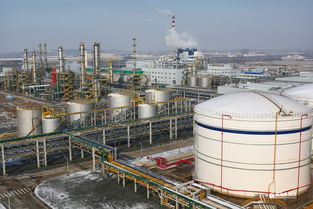 海晶化工黃島啟航 新廠區搶眼