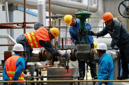 恒通化工 模擬股份制凝聚發展合力